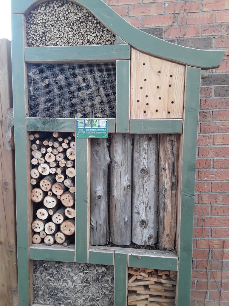 Insect hotel!