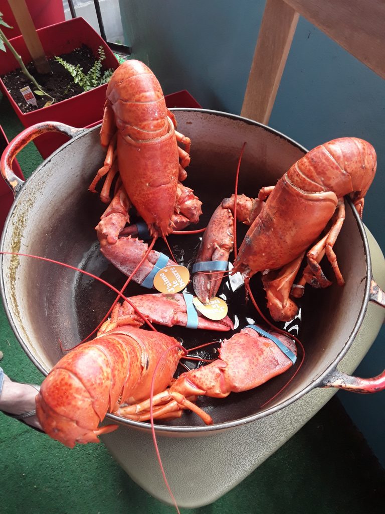 Gaspésie Lobster season!